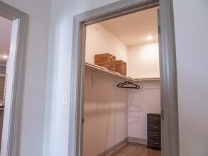 The Opal: 1BR, 1BA- Primary Bedroom - The Waters at Bluebonnet