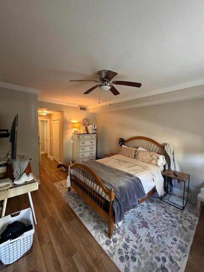 Foto del edificio - 4202 Renaissance Way