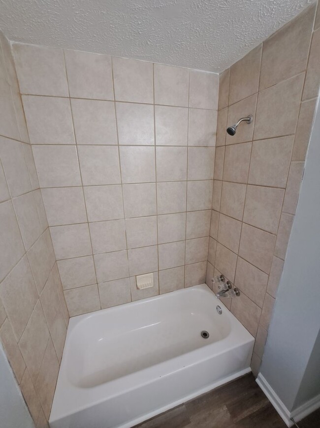 Building Photo - Beautiful & Spacious  2B ed/1.5 Bath in Au...