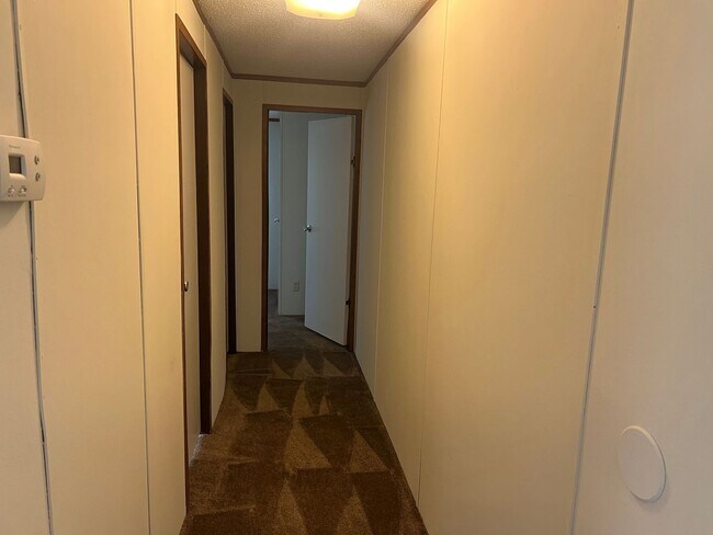 Foto del edificio - New Carpet & Vinyl Flooring - Pinetops Sin...