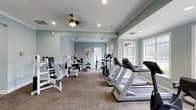 This fitness center offers a comprehensive workout environment designed to accommodate a wide range of exercise needs. The space is finished with soft blue-green walls accented by white crown molding and a neutral, patterned carpet that adds texture underfoot. Recessed lighting and a ceiling fan work in tandem to keep the space bright and comfortable during workouts.

Along one side of the room, a row of Matrix treadmills lines the wall, positioned near large windows that allow ample natural light to filter in and offer views of the surrounding outdoor greenery. Across the floor, a robust selection of strength training machines is arranged to allow easy circulation between equipment. The weight machines include benches, cable systems, and various resistance units suited for both upper and lower body training.

The layout is thoughtfully organized to separate cardio and strength zones, promoting efficient use of the space. The high, well-maintained ceiling contributes to an open, airy feel throughout. Overall, this fitness center provides a clean, well-lit, and fully equipped environment suitable for a broad spectrum of fitness routines, from cardiovascular conditioning to targeted strength training.