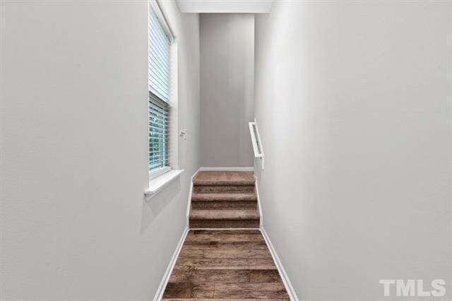 Foto del edificio - 2223 Chattering Lory Ln