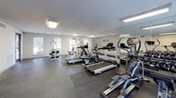 This fitness center is a single-floor facility designed to support a well-rounded workout experience. The main exercise area is generously sized, offering ample room to move between equipment without feeling cramped. The flooring throughout is polished concrete, providing a durable and easy-to-maintain surface, with rubber mats placed strategically beneath equipment for added stability and protection.

The space is outfitted with a variety of cardio machines, including treadmills, elliptical trainers, a stationary bike, and a rowing machine, catering to a range of cardiovascular fitness preferences. Strength training is supported by a multi-station cable machine, a weight bench, and a dumbbell rack, making the center suitable for full-body workouts. A wall-length mirror spans one side of the room, enhancing the sense of space while allowing users to monitor their form during exercise.

Natural light filters in through multiple windows along the walls, creating a bright and energizing atmosphere. Overhead fluorescent lighting ensures consistent illumination throughout. Entry is provided through black-framed glass doors, and the clean, white-painted walls contribute to the facility's functional and modern aesthetic.