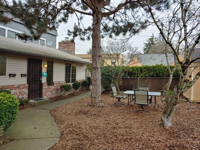 Front yard - 5028 SE Hawthorne Blvd