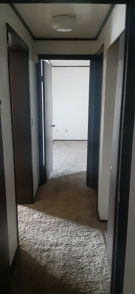 Foto del edificio - 407 Sage Hills St