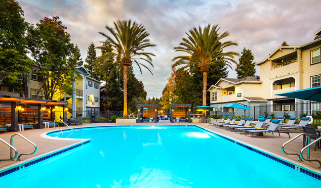 The saline pool is open year round for you to catch some sun or take a dip - Monterey Grove