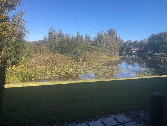 view from master bedroom - 16519 Lake Brigadoon Cir