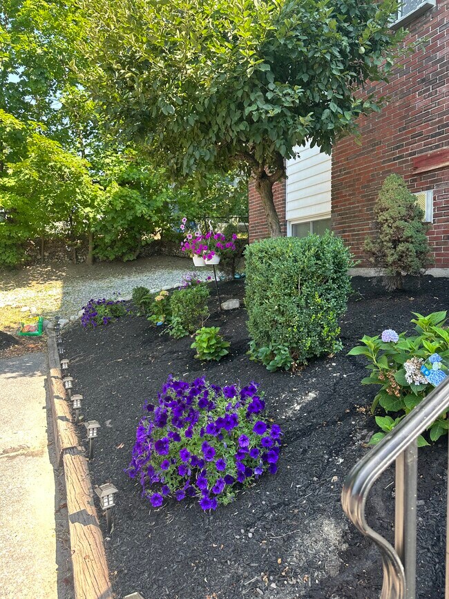 Building Photo - 215 Mammoth Rd