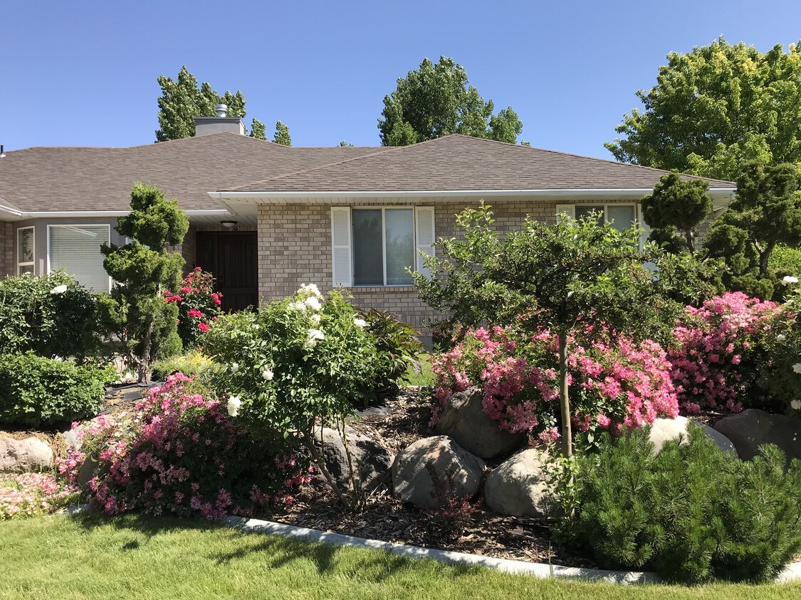 Foto principal - 2582 Singletree Ln