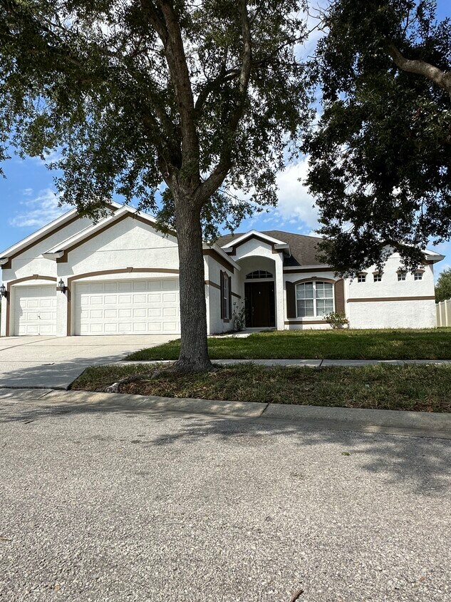 6504 Carrington Sky Dr, Apollo Beach, FL 33572 House for Rent in