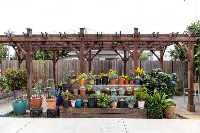 Building Outdoor Garden - Northgate Terrace