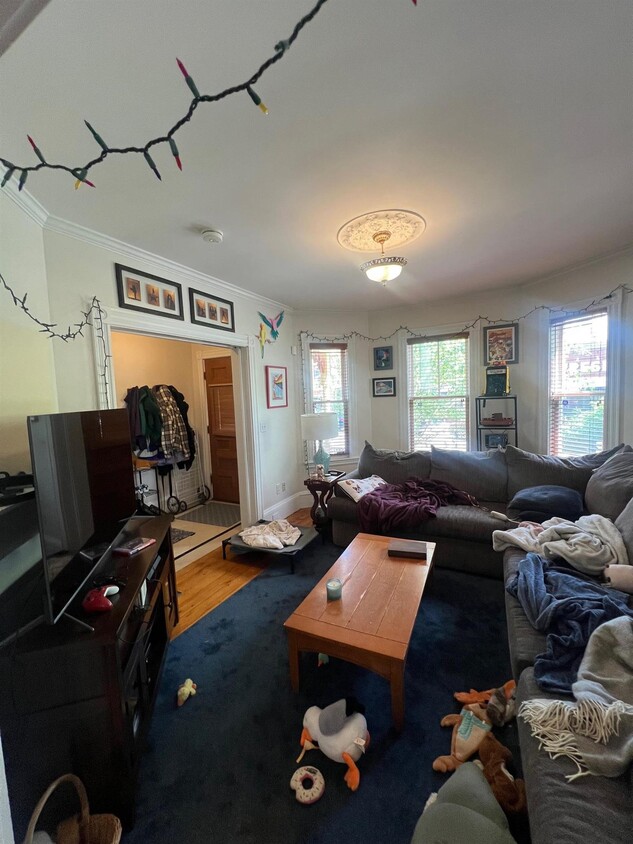 Primary Photo - 82 Holland St