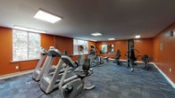 This fitness center offers a comprehensive workout environment designed to accommodate a variety of exercise routines. The space is immediately distinguished by its bold burnt-orange walls, which contrast with a neutral grey ceiling and blue-grey carpet tile flooring, creating an energetic yet functional atmosphere. Recessed and flush-mounted fluorescent lighting panels illuminate the room evenly throughout.

The cardio area is well-stocked with multiple treadmills, elliptical trainers, and stationary bikes, including Precor-branded equipment. A wall-mounted flat-screen television is positioned for visibility from the cardio zone. Toward one section of the room, a multi-station cable strength machine provides options for a range of resistance exercises, complemented by a dedicated free weights area featuring a tiered dumbbell rack with a full set of weights, a stability ball, and an adjustable workout bench.

Large windows along one wall allow natural light to filter in and offer views of surrounding greenery and landscaping. A full-length mirror is mounted near the free weights section, adding depth and utility to the space. The room maintains an open, uncluttered layout that allows users to move freely between equipment stations, making it a practical and well-organized facility.