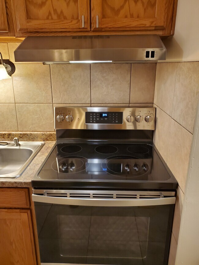 19638 Terrace Ave Unit 1 south, Lynwood, IL 60411 Apartments at 19638