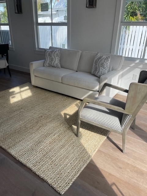 Living room pull out couch - 1102 Pearl St