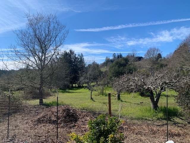 Property location is amoung apple orchard - 836 Ferguson Rd