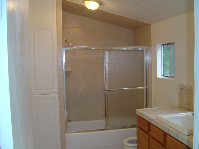 Shower - 1096 Aileen St