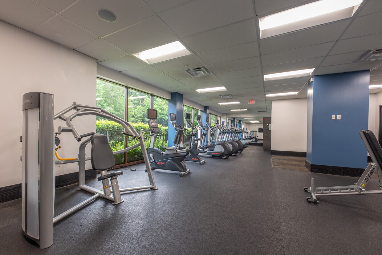 Westchester Tower Apartments Apartments 6200 Westchester Park Dr