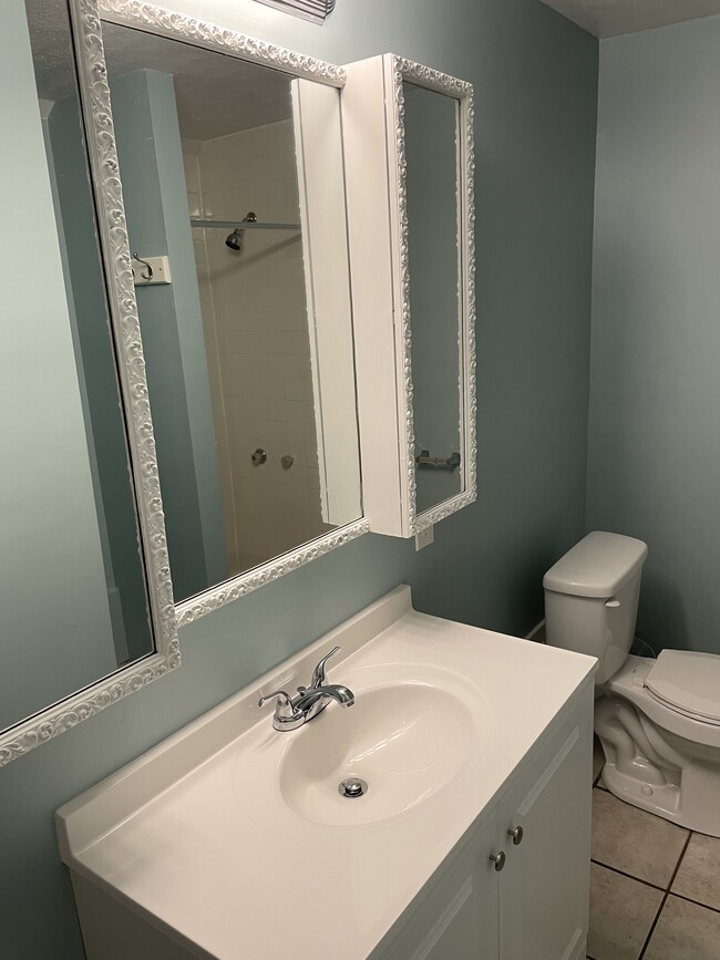Updated bath with large vanity with lots of counter space and medicine cabinet - 884 N Main St
