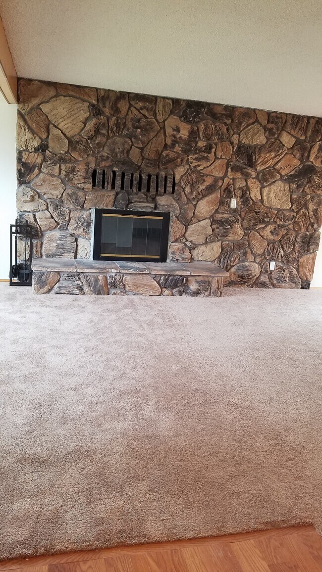 Wood burning fireplace - 902 15th Ave