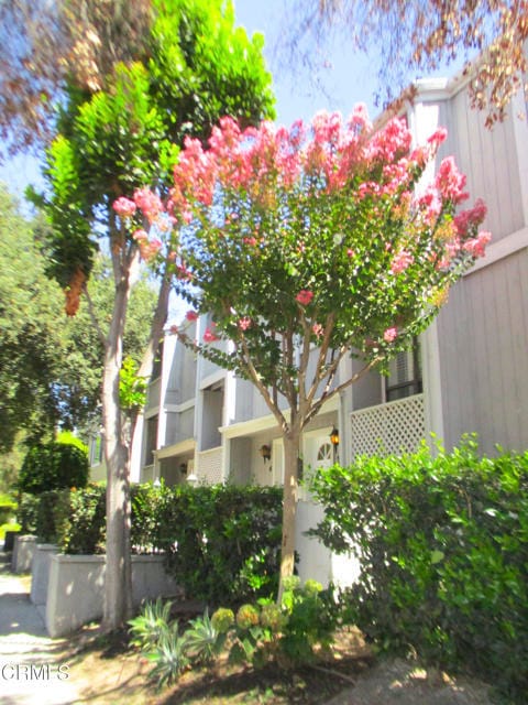Building Photo - 965 E Del Mar Blvd