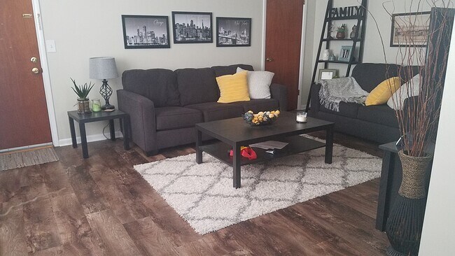 Living Room - 933 Hollytree Dr