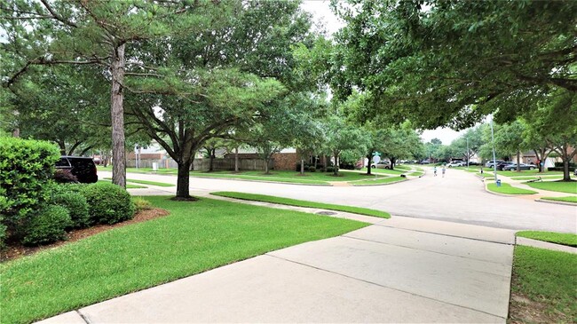 Building Photo - 26519 Sandy Arbor Ln