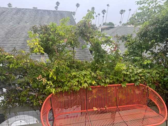 Patio - 827 Venezia Ave