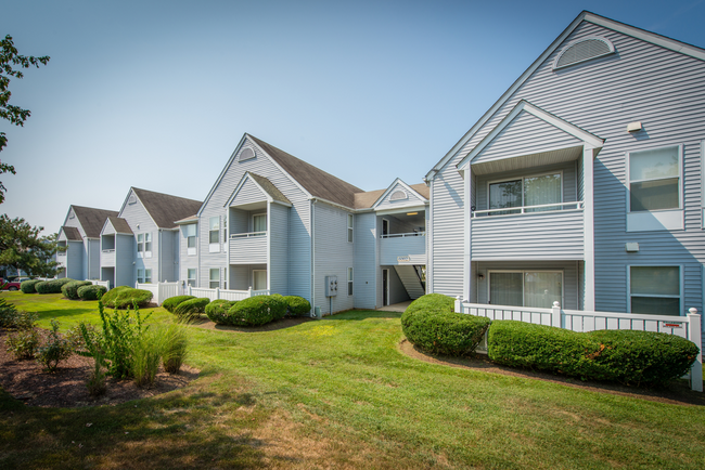 Building Photo - New Forest Apartments