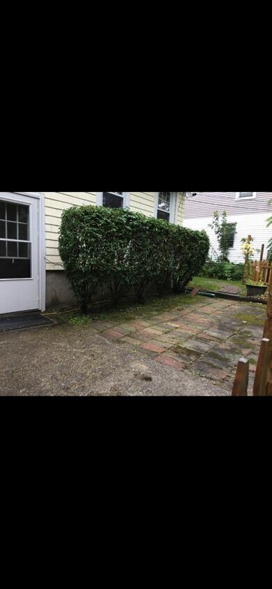 Primary Photo - 19 Elmwood St