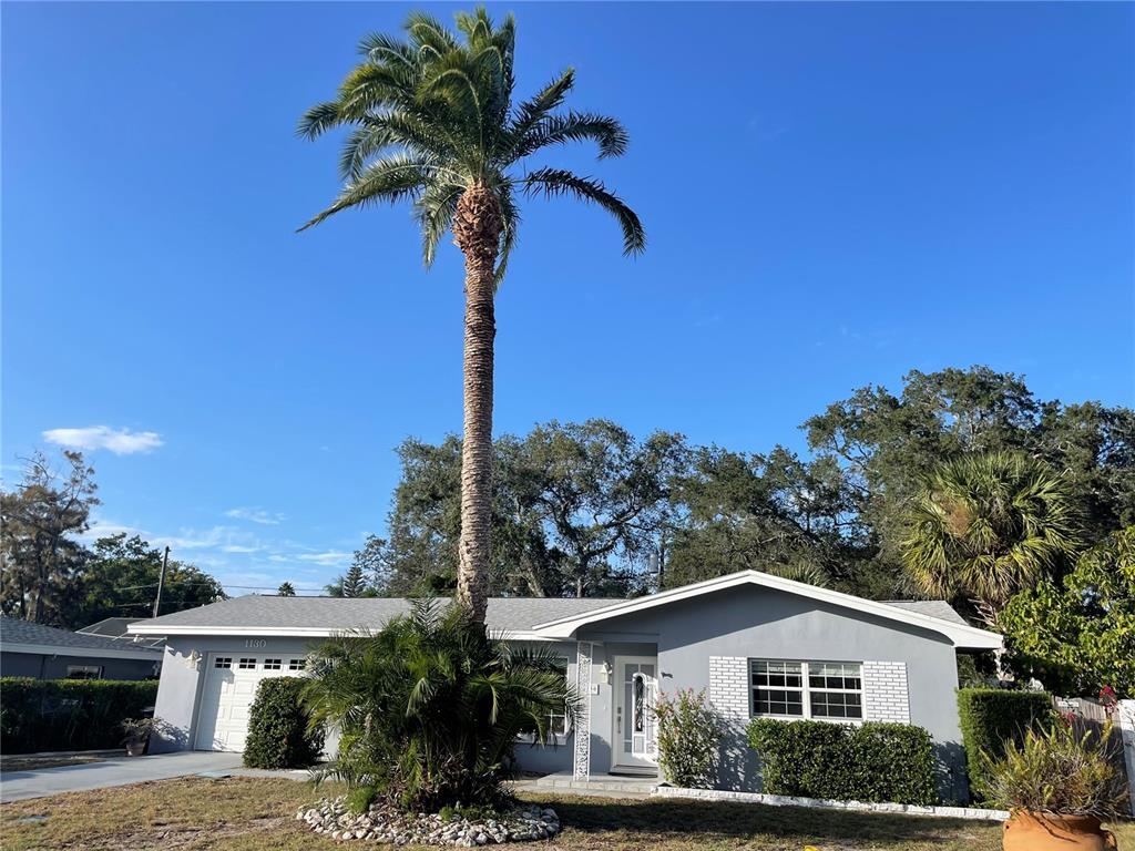 Foto principal - 1130 Sunnydale Dr
