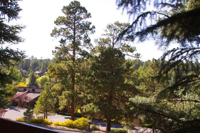 Foto del edificio - 2605 N Pinon Ridge Dr