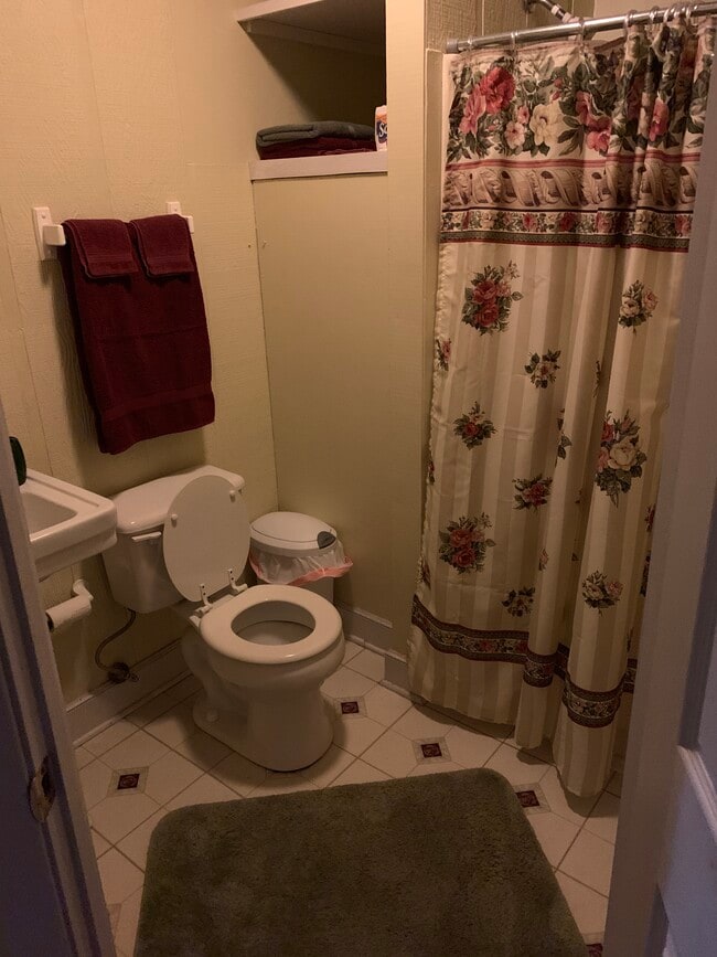 Bathroom - 224 Amber Sky Dr