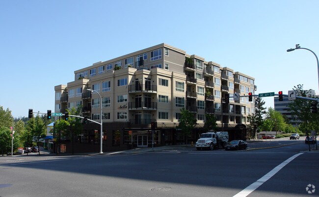Abella Apartments Bellevue Wa Apartments Com