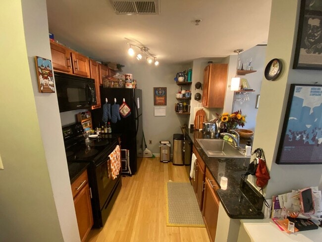 Building Photo - Charming, Spacious and Sunlit 1 BD, 1 BA 3...