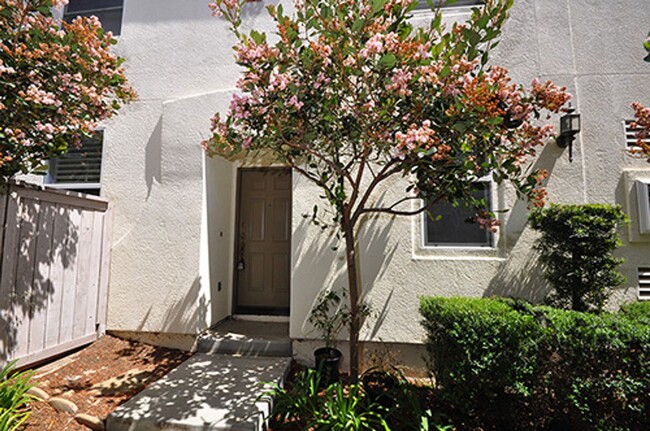 Foto del edificio - Stunning 3 Bedroom Condo in San Marcos wit...