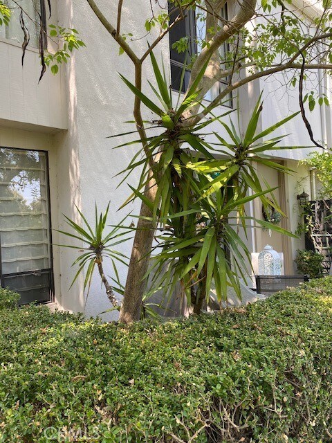 Foto del edificio - 3617 W Hidden Ln