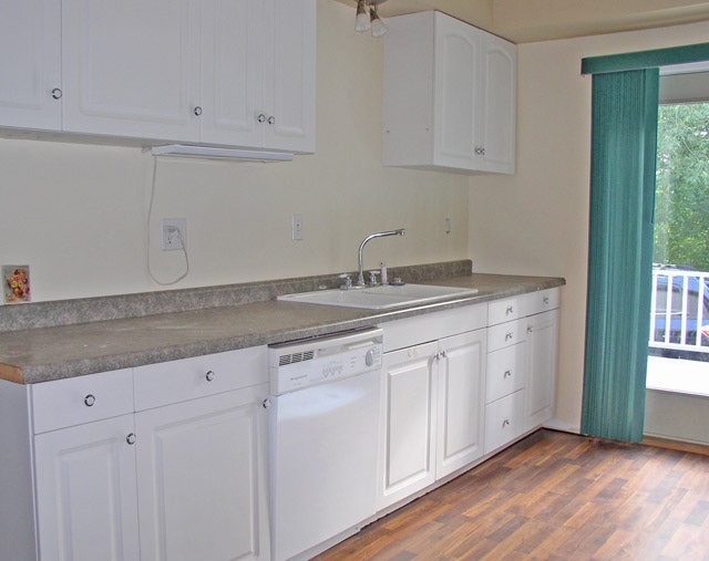 Kitchen - 908 E Skyline Pkwy
