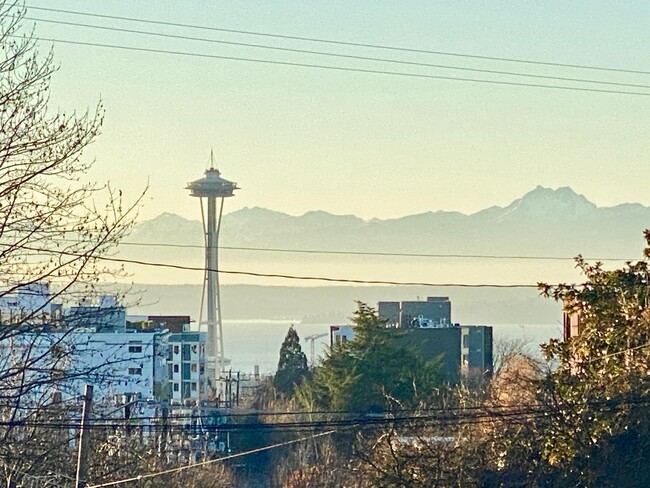 View from nearby street intersection. - 1221 E Olive St