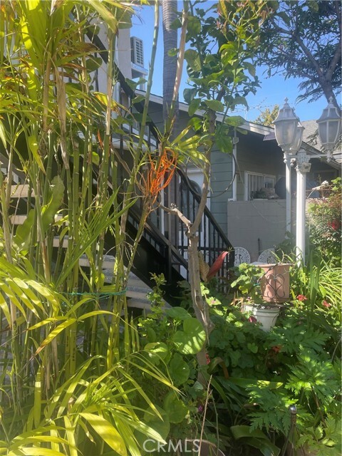 Foto principal - 1921 Knoxville Ave