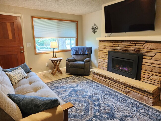 Gas fireplace - 1216 Fairmount Ave S