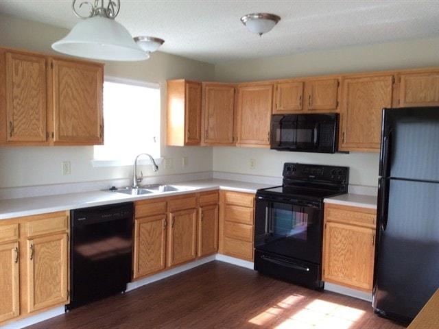 Building Photo - 10313 Cerulean Dr