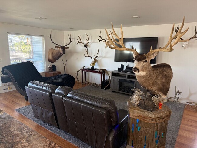 Foto del edificio - Beautifully updated duplex with parking and a 40'x25' garage.