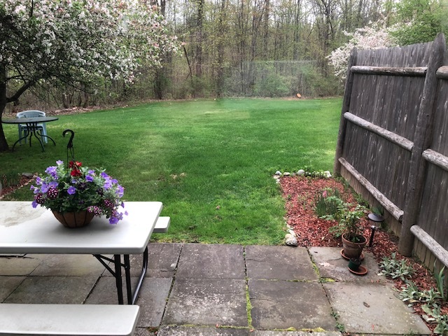 back porch - 23 Farmington Meadow Dr