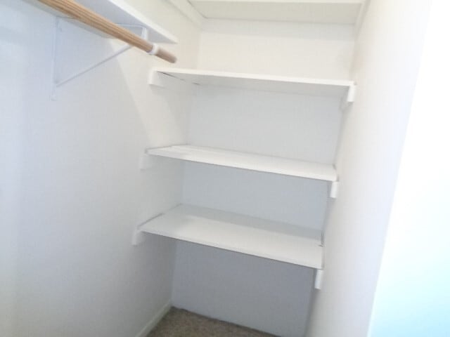 Building Photo - 5502 Deep Forest Dr