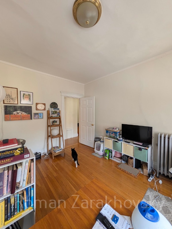 Photo - 14 Orkney Rd Apartment