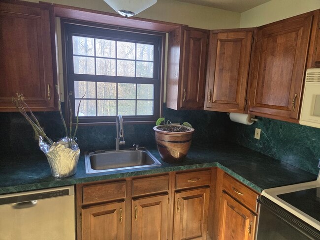 Building Photo - 115 Sugar Loaf Ln