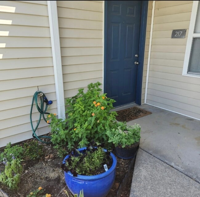 Building Photo - Wedgewood Arms Apartments