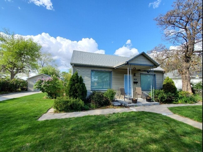 Poplar Grove 3 bd. House! Pets ok! Love the yard! - Poplar Grove 3 bd. House! Pets ok! Love the yard!