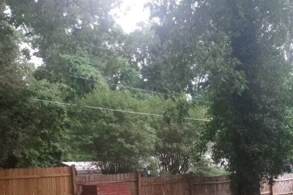 Foto del edificio - 3300 Cole Mill Rd